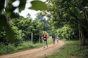 BIB: 
                            <button type="button" onclick="openModal(26826848)" class="btn btn-primary btn-sm float-right btn-popup" data-toggle="modal" data-target=".modal-high-quality">
                        <i class="fas fa-shopping-cart"></i> Add to Cart
                    </button>
                                            <button type="button" onclick="isThisMe(26826848, true)" class="btn btn-success btn-sm float-right btn-popup btn-isme hidden" data-toggle="tooltip" data-placement="bottom" title="นี่คือรูปของคุณใช่ไหม คลิกที่นี่เพื่อเอาเข้าอัลบั้ม">
                        <i class="fas fa-plus"></i> Add to album
                    </button>
                    <button type="button" onclick="isThisMe(26826848, false)" class="btn btn-warning btn-sm float-right btn-popup btn-isnotme hidden">
                        <i class="fas fa-ban"></i> Remove from album
                    </button>