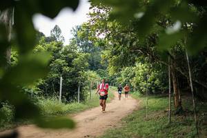 BIB: 
                            <button type="button" onclick="openModal(26822047)" class="btn btn-primary btn-sm float-right btn-popup" data-toggle="modal" data-target=".modal-high-quality">
                        <i class="fas fa-shopping-cart"></i> Add to Cart
                    </button>
                                            <button type="button" onclick="isThisMe(26822047, true)" class="btn btn-success btn-sm float-right btn-popup btn-isme hidden" data-toggle="tooltip" data-placement="bottom" title="นี่คือรูปของคุณใช่ไหม คลิกที่นี่เพื่อเอาเข้าอัลบั้ม">
                        <i class="fas fa-plus"></i> Add to album
                    </button>
                    <button type="button" onclick="isThisMe(26822047, false)" class="btn btn-warning btn-sm float-right btn-popup btn-isnotme hidden">
                        <i class="fas fa-ban"></i> Remove from album
                    </button>