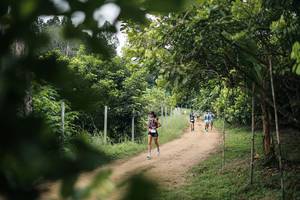 BIB: 
                            <button type="button" onclick="openModal(26830298)" class="btn btn-primary btn-sm float-right btn-popup" data-toggle="modal" data-target=".modal-high-quality">
                        <i class="fas fa-shopping-cart"></i> Add to Cart
                    </button>
                                            <button type="button" onclick="isThisMe(26830298, true)" class="btn btn-success btn-sm float-right btn-popup btn-isme hidden" data-toggle="tooltip" data-placement="bottom" title="นี่คือรูปของคุณใช่ไหม คลิกที่นี่เพื่อเอาเข้าอัลบั้ม">
                        <i class="fas fa-plus"></i> Add to album
                    </button>
                    <button type="button" onclick="isThisMe(26830298, false)" class="btn btn-warning btn-sm float-right btn-popup btn-isnotme hidden">
                        <i class="fas fa-ban"></i> Remove from album
                    </button>