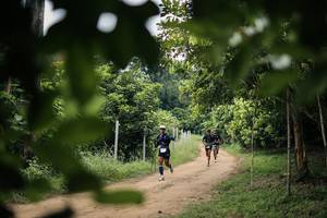 BIB: 
                            <button type="button" onclick="openModal(26826354)" class="btn btn-primary btn-sm float-right btn-popup" data-toggle="modal" data-target=".modal-high-quality">
                        <i class="fas fa-shopping-cart"></i> Add to Cart
                    </button>
                                            <button type="button" onclick="isThisMe(26826354, true)" class="btn btn-success btn-sm float-right btn-popup btn-isme hidden" data-toggle="tooltip" data-placement="bottom" title="นี่คือรูปของคุณใช่ไหม คลิกที่นี่เพื่อเอาเข้าอัลบั้ม">
                        <i class="fas fa-plus"></i> Add to album
                    </button>
                    <button type="button" onclick="isThisMe(26826354, false)" class="btn btn-warning btn-sm float-right btn-popup btn-isnotme hidden">
                        <i class="fas fa-ban"></i> Remove from album
                    </button>