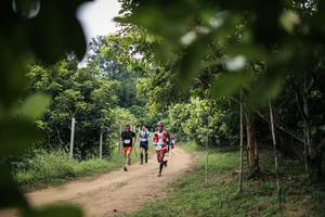 BIB: 
                            <button type="button" onclick="openModal(26824476)" class="btn btn-primary btn-sm float-right btn-popup" data-toggle="modal" data-target=".modal-high-quality">
                        <i class="fas fa-shopping-cart"></i> Add to Cart
                    </button>
                                            <button type="button" onclick="isThisMe(26824476, true)" class="btn btn-success btn-sm float-right btn-popup btn-isme hidden" data-toggle="tooltip" data-placement="bottom" title="นี่คือรูปของคุณใช่ไหม คลิกที่นี่เพื่อเอาเข้าอัลบั้ม">
                        <i class="fas fa-plus"></i> Add to album
                    </button>
                    <button type="button" onclick="isThisMe(26824476, false)" class="btn btn-warning btn-sm float-right btn-popup btn-isnotme hidden">
                        <i class="fas fa-ban"></i> Remove from album
                    </button>