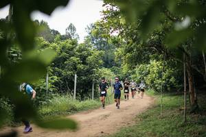 BIB: 
                            <button type="button" onclick="openModal(26823457)" class="btn btn-primary btn-sm float-right btn-popup" data-toggle="modal" data-target=".modal-high-quality">
                        <i class="fas fa-shopping-cart"></i> Add to Cart
                    </button>
                                            <button type="button" onclick="isThisMe(26823457, true)" class="btn btn-success btn-sm float-right btn-popup btn-isme hidden" data-toggle="tooltip" data-placement="bottom" title="นี่คือรูปของคุณใช่ไหม คลิกที่นี่เพื่อเอาเข้าอัลบั้ม">
                        <i class="fas fa-plus"></i> Add to album
                    </button>
                    <button type="button" onclick="isThisMe(26823457, false)" class="btn btn-warning btn-sm float-right btn-popup btn-isnotme hidden">
                        <i class="fas fa-ban"></i> Remove from album
                    </button>