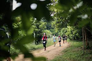 BIB: 
                            <button type="button" onclick="openModal(26822550)" class="btn btn-primary btn-sm float-right btn-popup" data-toggle="modal" data-target=".modal-high-quality">
                        <i class="fas fa-shopping-cart"></i> Add to Cart
                    </button>
                                            <button type="button" onclick="isThisMe(26822550, true)" class="btn btn-success btn-sm float-right btn-popup btn-isme hidden" data-toggle="tooltip" data-placement="bottom" title="นี่คือรูปของคุณใช่ไหม คลิกที่นี่เพื่อเอาเข้าอัลบั้ม">
                        <i class="fas fa-plus"></i> Add to album
                    </button>
                    <button type="button" onclick="isThisMe(26822550, false)" class="btn btn-warning btn-sm float-right btn-popup btn-isnotme hidden">
                        <i class="fas fa-ban"></i> Remove from album
                    </button>