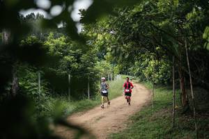 BIB: 
                            <button type="button" onclick="openModal(26828219)" class="btn btn-primary btn-sm float-right btn-popup" data-toggle="modal" data-target=".modal-high-quality">
                        <i class="fas fa-shopping-cart"></i> Add to Cart
                    </button>
                                            <button type="button" onclick="isThisMe(26828219, true)" class="btn btn-success btn-sm float-right btn-popup btn-isme hidden" data-toggle="tooltip" data-placement="bottom" title="นี่คือรูปของคุณใช่ไหม คลิกที่นี่เพื่อเอาเข้าอัลบั้ม">
                        <i class="fas fa-plus"></i> Add to album
                    </button>
                    <button type="button" onclick="isThisMe(26828219, false)" class="btn btn-warning btn-sm float-right btn-popup btn-isnotme hidden">
                        <i class="fas fa-ban"></i> Remove from album
                    </button>