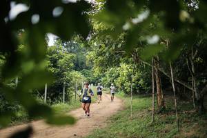 BIB: 
                            <button type="button" onclick="openModal(26831678)" class="btn btn-primary btn-sm float-right btn-popup" data-toggle="modal" data-target=".modal-high-quality">
                        <i class="fas fa-shopping-cart"></i> Add to Cart
                    </button>
                                            <button type="button" onclick="isThisMe(26831678, true)" class="btn btn-success btn-sm float-right btn-popup btn-isme hidden" data-toggle="tooltip" data-placement="bottom" title="นี่คือรูปของคุณใช่ไหม คลิกที่นี่เพื่อเอาเข้าอัลบั้ม">
                        <i class="fas fa-plus"></i> Add to album
                    </button>
                    <button type="button" onclick="isThisMe(26831678, false)" class="btn btn-warning btn-sm float-right btn-popup btn-isnotme hidden">
                        <i class="fas fa-ban"></i> Remove from album
                    </button>