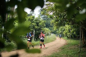 BIB: 
                            <button type="button" onclick="openModal(26821894)" class="btn btn-primary btn-sm float-right btn-popup" data-toggle="modal" data-target=".modal-high-quality">
                        <i class="fas fa-shopping-cart"></i> Add to Cart
                    </button>
                                            <button type="button" onclick="isThisMe(26821894, true)" class="btn btn-success btn-sm float-right btn-popup btn-isme hidden" data-toggle="tooltip" data-placement="bottom" title="นี่คือรูปของคุณใช่ไหม คลิกที่นี่เพื่อเอาเข้าอัลบั้ม">
                        <i class="fas fa-plus"></i> Add to album
                    </button>
                    <button type="button" onclick="isThisMe(26821894, false)" class="btn btn-warning btn-sm float-right btn-popup btn-isnotme hidden">
                        <i class="fas fa-ban"></i> Remove from album
                    </button>