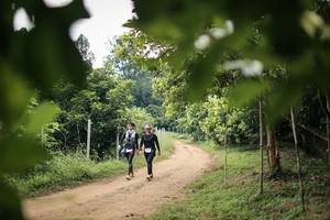 BIB: 
                            <button type="button" onclick="openModal(26821248)" class="btn btn-primary btn-sm float-right btn-popup" data-toggle="modal" data-target=".modal-high-quality">
                        <i class="fas fa-shopping-cart"></i> Add to Cart
                    </button>
                                            <button type="button" onclick="isThisMe(26821248, true)" class="btn btn-success btn-sm float-right btn-popup btn-isme hidden" data-toggle="tooltip" data-placement="bottom" title="นี่คือรูปของคุณใช่ไหม คลิกที่นี่เพื่อเอาเข้าอัลบั้ม">
                        <i class="fas fa-plus"></i> Add to album
                    </button>
                    <button type="button" onclick="isThisMe(26821248, false)" class="btn btn-warning btn-sm float-right btn-popup btn-isnotme hidden">
                        <i class="fas fa-ban"></i> Remove from album
                    </button>