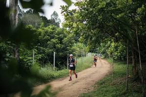 BIB: 
                            <button type="button" onclick="openModal(26829590)" class="btn btn-primary btn-sm float-right btn-popup" data-toggle="modal" data-target=".modal-high-quality">
                        <i class="fas fa-shopping-cart"></i> Add to Cart
                    </button>
                                            <button type="button" onclick="isThisMe(26829590, true)" class="btn btn-success btn-sm float-right btn-popup btn-isme hidden" data-toggle="tooltip" data-placement="bottom" title="นี่คือรูปของคุณใช่ไหม คลิกที่นี่เพื่อเอาเข้าอัลบั้ม">
                        <i class="fas fa-plus"></i> Add to album
                    </button>
                    <button type="button" onclick="isThisMe(26829590, false)" class="btn btn-warning btn-sm float-right btn-popup btn-isnotme hidden">
                        <i class="fas fa-ban"></i> Remove from album
                    </button>