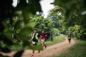 BIB: 
                            <button type="button" onclick="openModal(26823910)" class="btn btn-primary btn-sm float-right btn-popup" data-toggle="modal" data-target=".modal-high-quality">
                        <i class="fas fa-shopping-cart"></i> Add to Cart
                    </button>
                                            <button type="button" onclick="isThisMe(26823910, true)" class="btn btn-success btn-sm float-right btn-popup btn-isme hidden" data-toggle="tooltip" data-placement="bottom" title="นี่คือรูปของคุณใช่ไหม คลิกที่นี่เพื่อเอาเข้าอัลบั้ม">
                        <i class="fas fa-plus"></i> Add to album
                    </button>
                    <button type="button" onclick="isThisMe(26823910, false)" class="btn btn-warning btn-sm float-right btn-popup btn-isnotme hidden">
                        <i class="fas fa-ban"></i> Remove from album
                    </button>