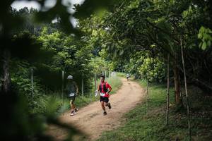 BIB: 
                            <button type="button" onclick="openModal(26828214)" class="btn btn-primary btn-sm float-right btn-popup" data-toggle="modal" data-target=".modal-high-quality">
                        <i class="fas fa-shopping-cart"></i> Add to Cart
                    </button>
                                            <button type="button" onclick="isThisMe(26828214, true)" class="btn btn-success btn-sm float-right btn-popup btn-isme hidden" data-toggle="tooltip" data-placement="bottom" title="นี่คือรูปของคุณใช่ไหม คลิกที่นี่เพื่อเอาเข้าอัลบั้ม">
                        <i class="fas fa-plus"></i> Add to album
                    </button>
                    <button type="button" onclick="isThisMe(26828214, false)" class="btn btn-warning btn-sm float-right btn-popup btn-isnotme hidden">
                        <i class="fas fa-ban"></i> Remove from album
                    </button>