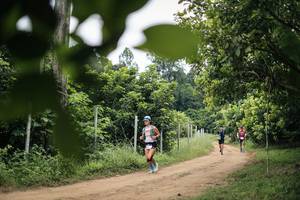 BIB: 
                            <button type="button" onclick="openModal(26826904)" class="btn btn-primary btn-sm float-right btn-popup" data-toggle="modal" data-target=".modal-high-quality">
                        <i class="fas fa-shopping-cart"></i> Add to Cart
                    </button>
                                            <button type="button" onclick="isThisMe(26826904, true)" class="btn btn-success btn-sm float-right btn-popup btn-isme hidden" data-toggle="tooltip" data-placement="bottom" title="นี่คือรูปของคุณใช่ไหม คลิกที่นี่เพื่อเอาเข้าอัลบั้ม">
                        <i class="fas fa-plus"></i> Add to album
                    </button>
                    <button type="button" onclick="isThisMe(26826904, false)" class="btn btn-warning btn-sm float-right btn-popup btn-isnotme hidden">
                        <i class="fas fa-ban"></i> Remove from album
                    </button>