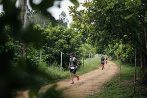 BIB: 
                            <button type="button" onclick="openModal(26829601)" class="btn btn-primary btn-sm float-right btn-popup" data-toggle="modal" data-target=".modal-high-quality">
                        <i class="fas fa-shopping-cart"></i> Add to Cart
                    </button>
                                            <button type="button" onclick="isThisMe(26829601, true)" class="btn btn-success btn-sm float-right btn-popup btn-isme hidden" data-toggle="tooltip" data-placement="bottom" title="นี่คือรูปของคุณใช่ไหม คลิกที่นี่เพื่อเอาเข้าอัลบั้ม">
                        <i class="fas fa-plus"></i> Add to album
                    </button>
                    <button type="button" onclick="isThisMe(26829601, false)" class="btn btn-warning btn-sm float-right btn-popup btn-isnotme hidden">
                        <i class="fas fa-ban"></i> Remove from album
                    </button>