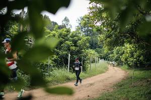 BIB: 
                            <button type="button" onclick="openModal(26823850)" class="btn btn-primary btn-sm float-right btn-popup" data-toggle="modal" data-target=".modal-high-quality">
                        <i class="fas fa-shopping-cart"></i> Add to Cart
                    </button>
                                            <button type="button" onclick="isThisMe(26823850, true)" class="btn btn-success btn-sm float-right btn-popup btn-isme hidden" data-toggle="tooltip" data-placement="bottom" title="นี่คือรูปของคุณใช่ไหม คลิกที่นี่เพื่อเอาเข้าอัลบั้ม">
                        <i class="fas fa-plus"></i> Add to album
                    </button>
                    <button type="button" onclick="isThisMe(26823850, false)" class="btn btn-warning btn-sm float-right btn-popup btn-isnotme hidden">
                        <i class="fas fa-ban"></i> Remove from album
                    </button>