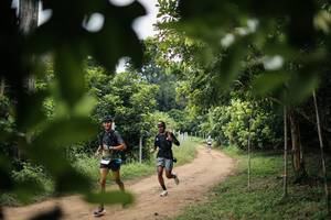 BIB: 
                            <button type="button" onclick="openModal(26826299)" class="btn btn-primary btn-sm float-right btn-popup" data-toggle="modal" data-target=".modal-high-quality">
                        <i class="fas fa-shopping-cart"></i> Add to Cart
                    </button>
                                            <button type="button" onclick="isThisMe(26826299, true)" class="btn btn-success btn-sm float-right btn-popup btn-isme hidden" data-toggle="tooltip" data-placement="bottom" title="นี่คือรูปของคุณใช่ไหม คลิกที่นี่เพื่อเอาเข้าอัลบั้ม">
                        <i class="fas fa-plus"></i> Add to album
                    </button>
                    <button type="button" onclick="isThisMe(26826299, false)" class="btn btn-warning btn-sm float-right btn-popup btn-isnotme hidden">
                        <i class="fas fa-ban"></i> Remove from album
                    </button>