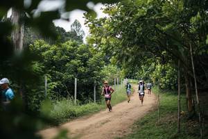 BIB: 
                            <button type="button" onclick="openModal(26829344)" class="btn btn-primary btn-sm float-right btn-popup" data-toggle="modal" data-target=".modal-high-quality">
                        <i class="fas fa-shopping-cart"></i> Add to Cart
                    </button>
                                            <button type="button" onclick="isThisMe(26829344, true)" class="btn btn-success btn-sm float-right btn-popup btn-isme hidden" data-toggle="tooltip" data-placement="bottom" title="นี่คือรูปของคุณใช่ไหม คลิกที่นี่เพื่อเอาเข้าอัลบั้ม">
                        <i class="fas fa-plus"></i> Add to album
                    </button>
                    <button type="button" onclick="isThisMe(26829344, false)" class="btn btn-warning btn-sm float-right btn-popup btn-isnotme hidden">
                        <i class="fas fa-ban"></i> Remove from album
                    </button>