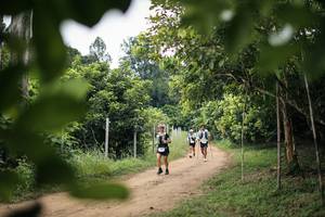 BIB: 
                            <button type="button" onclick="openModal(26824415)" class="btn btn-primary btn-sm float-right btn-popup" data-toggle="modal" data-target=".modal-high-quality">
                        <i class="fas fa-shopping-cart"></i> Add to Cart
                    </button>
                                            <button type="button" onclick="isThisMe(26824415, true)" class="btn btn-success btn-sm float-right btn-popup btn-isme hidden" data-toggle="tooltip" data-placement="bottom" title="นี่คือรูปของคุณใช่ไหม คลิกที่นี่เพื่อเอาเข้าอัลบั้ม">
                        <i class="fas fa-plus"></i> Add to album
                    </button>
                    <button type="button" onclick="isThisMe(26824415, false)" class="btn btn-warning btn-sm float-right btn-popup btn-isnotme hidden">
                        <i class="fas fa-ban"></i> Remove from album
                    </button>