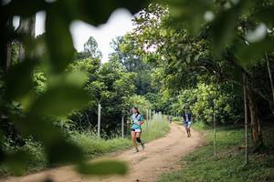 BIB: 
                            <button type="button" onclick="openModal(26826623)" class="btn btn-primary btn-sm float-right btn-popup" data-toggle="modal" data-target=".modal-high-quality">
                        <i class="fas fa-shopping-cart"></i> Add to Cart
                    </button>
                                            <button type="button" onclick="isThisMe(26826623, true)" class="btn btn-success btn-sm float-right btn-popup btn-isme hidden" data-toggle="tooltip" data-placement="bottom" title="นี่คือรูปของคุณใช่ไหม คลิกที่นี่เพื่อเอาเข้าอัลบั้ม">
                        <i class="fas fa-plus"></i> Add to album
                    </button>
                    <button type="button" onclick="isThisMe(26826623, false)" class="btn btn-warning btn-sm float-right btn-popup btn-isnotme hidden">
                        <i class="fas fa-ban"></i> Remove from album
                    </button>