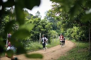 BIB: 
                            <button type="button" onclick="openModal(26823861)" class="btn btn-primary btn-sm float-right btn-popup" data-toggle="modal" data-target=".modal-high-quality">
                        <i class="fas fa-shopping-cart"></i> Add to Cart
                    </button>
                                            <button type="button" onclick="isThisMe(26823861, true)" class="btn btn-success btn-sm float-right btn-popup btn-isme hidden" data-toggle="tooltip" data-placement="bottom" title="นี่คือรูปของคุณใช่ไหม คลิกที่นี่เพื่อเอาเข้าอัลบั้ม">
                        <i class="fas fa-plus"></i> Add to album
                    </button>
                    <button type="button" onclick="isThisMe(26823861, false)" class="btn btn-warning btn-sm float-right btn-popup btn-isnotme hidden">
                        <i class="fas fa-ban"></i> Remove from album
                    </button>