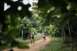 BIB: 
                            <button type="button" onclick="openModal(26831553)" class="btn btn-primary btn-sm float-right btn-popup" data-toggle="modal" data-target=".modal-high-quality">
                        <i class="fas fa-shopping-cart"></i> Add to Cart
                    </button>
                                            <button type="button" onclick="isThisMe(26831553, true)" class="btn btn-success btn-sm float-right btn-popup btn-isme hidden" data-toggle="tooltip" data-placement="bottom" title="นี่คือรูปของคุณใช่ไหม คลิกที่นี่เพื่อเอาเข้าอัลบั้ม">
                        <i class="fas fa-plus"></i> Add to album
                    </button>
                    <button type="button" onclick="isThisMe(26831553, false)" class="btn btn-warning btn-sm float-right btn-popup btn-isnotme hidden">
                        <i class="fas fa-ban"></i> Remove from album
                    </button>