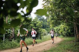 BIB: 
                            <button type="button" onclick="openModal(26832223)" class="btn btn-primary btn-sm float-right btn-popup" data-toggle="modal" data-target=".modal-high-quality">
                        <i class="fas fa-shopping-cart"></i> Add to Cart
                    </button>
                                            <button type="button" onclick="isThisMe(26832223, true)" class="btn btn-success btn-sm float-right btn-popup btn-isme hidden" data-toggle="tooltip" data-placement="bottom" title="นี่คือรูปของคุณใช่ไหม คลิกที่นี่เพื่อเอาเข้าอัลบั้ม">
                        <i class="fas fa-plus"></i> Add to album
                    </button>
                    <button type="button" onclick="isThisMe(26832223, false)" class="btn btn-warning btn-sm float-right btn-popup btn-isnotme hidden">
                        <i class="fas fa-ban"></i> Remove from album
                    </button>