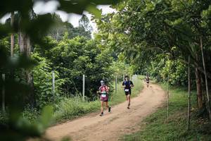 BIB: 
                            <button type="button" onclick="openModal(26827624)" class="btn btn-primary btn-sm float-right btn-popup" data-toggle="modal" data-target=".modal-high-quality">
                        <i class="fas fa-shopping-cart"></i> Add to Cart
                    </button>
                                            <button type="button" onclick="isThisMe(26827624, true)" class="btn btn-success btn-sm float-right btn-popup btn-isme hidden" data-toggle="tooltip" data-placement="bottom" title="นี่คือรูปของคุณใช่ไหม คลิกที่นี่เพื่อเอาเข้าอัลบั้ม">
                        <i class="fas fa-plus"></i> Add to album
                    </button>
                    <button type="button" onclick="isThisMe(26827624, false)" class="btn btn-warning btn-sm float-right btn-popup btn-isnotme hidden">
                        <i class="fas fa-ban"></i> Remove from album
                    </button>