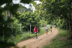 BIB: 
                            <button type="button" onclick="openModal(26827671)" class="btn btn-primary btn-sm float-right btn-popup" data-toggle="modal" data-target=".modal-high-quality">
                        <i class="fas fa-shopping-cart"></i> Add to Cart
                    </button>
                                            <button type="button" onclick="isThisMe(26827671, true)" class="btn btn-success btn-sm float-right btn-popup btn-isme hidden" data-toggle="tooltip" data-placement="bottom" title="นี่คือรูปของคุณใช่ไหม คลิกที่นี่เพื่อเอาเข้าอัลบั้ม">
                        <i class="fas fa-plus"></i> Add to album
                    </button>
                    <button type="button" onclick="isThisMe(26827671, false)" class="btn btn-warning btn-sm float-right btn-popup btn-isnotme hidden">
                        <i class="fas fa-ban"></i> Remove from album
                    </button>