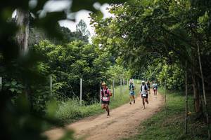 BIB: 
                            <button type="button" onclick="openModal(26829346)" class="btn btn-primary btn-sm float-right btn-popup" data-toggle="modal" data-target=".modal-high-quality">
                        <i class="fas fa-shopping-cart"></i> Add to Cart
                    </button>
                                            <button type="button" onclick="isThisMe(26829346, true)" class="btn btn-success btn-sm float-right btn-popup btn-isme hidden" data-toggle="tooltip" data-placement="bottom" title="นี่คือรูปของคุณใช่ไหม คลิกที่นี่เพื่อเอาเข้าอัลบั้ม">
                        <i class="fas fa-plus"></i> Add to album
                    </button>
                    <button type="button" onclick="isThisMe(26829346, false)" class="btn btn-warning btn-sm float-right btn-popup btn-isnotme hidden">
                        <i class="fas fa-ban"></i> Remove from album
                    </button>