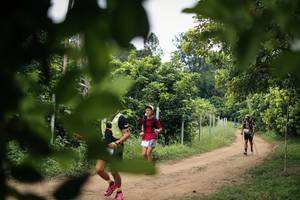 BIB: 
                            <button type="button" onclick="openModal(26823907)" class="btn btn-primary btn-sm float-right btn-popup" data-toggle="modal" data-target=".modal-high-quality">
                        <i class="fas fa-shopping-cart"></i> Add to Cart
                    </button>
                                            <button type="button" onclick="isThisMe(26823907, true)" class="btn btn-success btn-sm float-right btn-popup btn-isme hidden" data-toggle="tooltip" data-placement="bottom" title="นี่คือรูปของคุณใช่ไหม คลิกที่นี่เพื่อเอาเข้าอัลบั้ม">
                        <i class="fas fa-plus"></i> Add to album
                    </button>
                    <button type="button" onclick="isThisMe(26823907, false)" class="btn btn-warning btn-sm float-right btn-popup btn-isnotme hidden">
                        <i class="fas fa-ban"></i> Remove from album
                    </button>