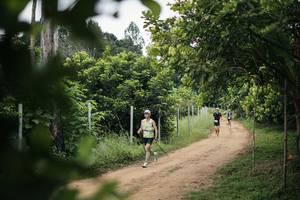 BIB: 
                            <button type="button" onclick="openModal(26829198)" class="btn btn-primary btn-sm float-right btn-popup" data-toggle="modal" data-target=".modal-high-quality">
                        <i class="fas fa-shopping-cart"></i> Add to Cart
                    </button>
                                            <button type="button" onclick="isThisMe(26829198, true)" class="btn btn-success btn-sm float-right btn-popup btn-isme hidden" data-toggle="tooltip" data-placement="bottom" title="นี่คือรูปของคุณใช่ไหม คลิกที่นี่เพื่อเอาเข้าอัลบั้ม">
                        <i class="fas fa-plus"></i> Add to album
                    </button>
                    <button type="button" onclick="isThisMe(26829198, false)" class="btn btn-warning btn-sm float-right btn-popup btn-isnotme hidden">
                        <i class="fas fa-ban"></i> Remove from album
                    </button>