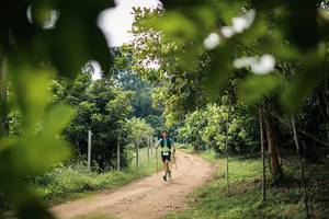 BIB: 
                            <button type="button" onclick="openModal(26821139)" class="btn btn-primary btn-sm float-right btn-popup" data-toggle="modal" data-target=".modal-high-quality">
                        <i class="fas fa-shopping-cart"></i> Add to Cart
                    </button>
                                            <button type="button" onclick="isThisMe(26821139, true)" class="btn btn-success btn-sm float-right btn-popup btn-isme hidden" data-toggle="tooltip" data-placement="bottom" title="นี่คือรูปของคุณใช่ไหม คลิกที่นี่เพื่อเอาเข้าอัลบั้ม">
                        <i class="fas fa-plus"></i> Add to album
                    </button>
                    <button type="button" onclick="isThisMe(26821139, false)" class="btn btn-warning btn-sm float-right btn-popup btn-isnotme hidden">
                        <i class="fas fa-ban"></i> Remove from album
                    </button>