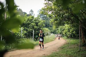 BIB: 
                            <button type="button" onclick="openModal(26822241)" class="btn btn-primary btn-sm float-right btn-popup" data-toggle="modal" data-target=".modal-high-quality">
                        <i class="fas fa-shopping-cart"></i> Add to Cart
                    </button>
                                            <button type="button" onclick="isThisMe(26822241, true)" class="btn btn-success btn-sm float-right btn-popup btn-isme hidden" data-toggle="tooltip" data-placement="bottom" title="นี่คือรูปของคุณใช่ไหม คลิกที่นี่เพื่อเอาเข้าอัลบั้ม">
                        <i class="fas fa-plus"></i> Add to album
                    </button>
                    <button type="button" onclick="isThisMe(26822241, false)" class="btn btn-warning btn-sm float-right btn-popup btn-isnotme hidden">
                        <i class="fas fa-ban"></i> Remove from album
                    </button>