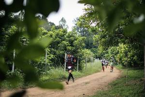 BIB: 
                            <button type="button" onclick="openModal(26824267)" class="btn btn-primary btn-sm float-right btn-popup" data-toggle="modal" data-target=".modal-high-quality">
                        <i class="fas fa-shopping-cart"></i> Add to Cart
                    </button>
                                            <button type="button" onclick="isThisMe(26824267, true)" class="btn btn-success btn-sm float-right btn-popup btn-isme hidden" data-toggle="tooltip" data-placement="bottom" title="นี่คือรูปของคุณใช่ไหม คลิกที่นี่เพื่อเอาเข้าอัลบั้ม">
                        <i class="fas fa-plus"></i> Add to album
                    </button>
                    <button type="button" onclick="isThisMe(26824267, false)" class="btn btn-warning btn-sm float-right btn-popup btn-isnotme hidden">
                        <i class="fas fa-ban"></i> Remove from album
                    </button>