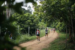 BIB: 
                            <button type="button" onclick="openModal(26829095)" class="btn btn-primary btn-sm float-right btn-popup" data-toggle="modal" data-target=".modal-high-quality">
                        <i class="fas fa-shopping-cart"></i> Add to Cart
                    </button>
                                            <button type="button" onclick="isThisMe(26829095, true)" class="btn btn-success btn-sm float-right btn-popup btn-isme hidden" data-toggle="tooltip" data-placement="bottom" title="นี่คือรูปของคุณใช่ไหม คลิกที่นี่เพื่อเอาเข้าอัลบั้ม">
                        <i class="fas fa-plus"></i> Add to album
                    </button>
                    <button type="button" onclick="isThisMe(26829095, false)" class="btn btn-warning btn-sm float-right btn-popup btn-isnotme hidden">
                        <i class="fas fa-ban"></i> Remove from album
                    </button>