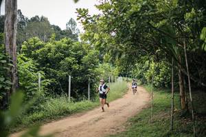 BIB: 
                            <button type="button" onclick="openModal(26828181)" class="btn btn-primary btn-sm float-right btn-popup" data-toggle="modal" data-target=".modal-high-quality">
                        <i class="fas fa-shopping-cart"></i> Add to Cart
                    </button>
                                            <button type="button" onclick="isThisMe(26828181, true)" class="btn btn-success btn-sm float-right btn-popup btn-isme hidden" data-toggle="tooltip" data-placement="bottom" title="นี่คือรูปของคุณใช่ไหม คลิกที่นี่เพื่อเอาเข้าอัลบั้ม">
                        <i class="fas fa-plus"></i> Add to album
                    </button>
                    <button type="button" onclick="isThisMe(26828181, false)" class="btn btn-warning btn-sm float-right btn-popup btn-isnotme hidden">
                        <i class="fas fa-ban"></i> Remove from album
                    </button>