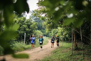 BIB: 
                            <button type="button" onclick="openModal(26821319)" class="btn btn-primary btn-sm float-right btn-popup" data-toggle="modal" data-target=".modal-high-quality">
                        <i class="fas fa-shopping-cart"></i> Add to Cart
                    </button>
                                            <button type="button" onclick="isThisMe(26821319, true)" class="btn btn-success btn-sm float-right btn-popup btn-isme hidden" data-toggle="tooltip" data-placement="bottom" title="นี่คือรูปของคุณใช่ไหม คลิกที่นี่เพื่อเอาเข้าอัลบั้ม">
                        <i class="fas fa-plus"></i> Add to album
                    </button>
                    <button type="button" onclick="isThisMe(26821319, false)" class="btn btn-warning btn-sm float-right btn-popup btn-isnotme hidden">
                        <i class="fas fa-ban"></i> Remove from album
                    </button>