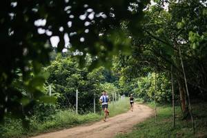 BIB: 
                            <button type="button" onclick="openModal(26834583)" class="btn btn-primary btn-sm float-right btn-popup" data-toggle="modal" data-target=".modal-high-quality">
                        <i class="fas fa-shopping-cart"></i> Add to Cart
                    </button>
                                            <button type="button" onclick="isThisMe(26834583, true)" class="btn btn-success btn-sm float-right btn-popup btn-isme hidden" data-toggle="tooltip" data-placement="bottom" title="นี่คือรูปของคุณใช่ไหม คลิกที่นี่เพื่อเอาเข้าอัลบั้ม">
                        <i class="fas fa-plus"></i> Add to album
                    </button>
                    <button type="button" onclick="isThisMe(26834583, false)" class="btn btn-warning btn-sm float-right btn-popup btn-isnotme hidden">
                        <i class="fas fa-ban"></i> Remove from album
                    </button>