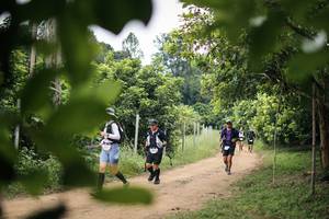 BIB: 
                            <button type="button" onclick="openModal(26822387)" class="btn btn-primary btn-sm float-right btn-popup" data-toggle="modal" data-target=".modal-high-quality">
                        <i class="fas fa-shopping-cart"></i> Add to Cart
                    </button>
                                            <button type="button" onclick="isThisMe(26822387, true)" class="btn btn-success btn-sm float-right btn-popup btn-isme hidden" data-toggle="tooltip" data-placement="bottom" title="นี่คือรูปของคุณใช่ไหม คลิกที่นี่เพื่อเอาเข้าอัลบั้ม">
                        <i class="fas fa-plus"></i> Add to album
                    </button>
                    <button type="button" onclick="isThisMe(26822387, false)" class="btn btn-warning btn-sm float-right btn-popup btn-isnotme hidden">
                        <i class="fas fa-ban"></i> Remove from album
                    </button>