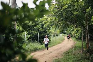 BIB: 
                            <button type="button" onclick="openModal(26830471)" class="btn btn-primary btn-sm float-right btn-popup" data-toggle="modal" data-target=".modal-high-quality">
                        <i class="fas fa-shopping-cart"></i> Add to Cart
                    </button>
                                            <button type="button" onclick="isThisMe(26830471, true)" class="btn btn-success btn-sm float-right btn-popup btn-isme hidden" data-toggle="tooltip" data-placement="bottom" title="นี่คือรูปของคุณใช่ไหม คลิกที่นี่เพื่อเอาเข้าอัลบั้ม">
                        <i class="fas fa-plus"></i> Add to album
                    </button>
                    <button type="button" onclick="isThisMe(26830471, false)" class="btn btn-warning btn-sm float-right btn-popup btn-isnotme hidden">
                        <i class="fas fa-ban"></i> Remove from album
                    </button>