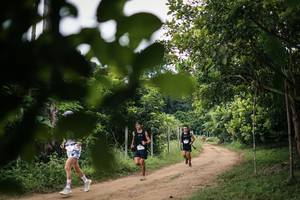 BIB: 
                            <button type="button" onclick="openModal(26833236)" class="btn btn-primary btn-sm float-right btn-popup" data-toggle="modal" data-target=".modal-high-quality">
                        <i class="fas fa-shopping-cart"></i> Add to Cart
                    </button>
                                            <button type="button" onclick="isThisMe(26833236, true)" class="btn btn-success btn-sm float-right btn-popup btn-isme hidden" data-toggle="tooltip" data-placement="bottom" title="นี่คือรูปของคุณใช่ไหม คลิกที่นี่เพื่อเอาเข้าอัลบั้ม">
                        <i class="fas fa-plus"></i> Add to album
                    </button>
                    <button type="button" onclick="isThisMe(26833236, false)" class="btn btn-warning btn-sm float-right btn-popup btn-isnotme hidden">
                        <i class="fas fa-ban"></i> Remove from album
                    </button>