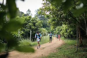 BIB: 
                            <button type="button" onclick="openModal(26823176)" class="btn btn-primary btn-sm float-right btn-popup" data-toggle="modal" data-target=".modal-high-quality">
                        <i class="fas fa-shopping-cart"></i> Add to Cart
                    </button>
                                            <button type="button" onclick="isThisMe(26823176, true)" class="btn btn-success btn-sm float-right btn-popup btn-isme hidden" data-toggle="tooltip" data-placement="bottom" title="นี่คือรูปของคุณใช่ไหม คลิกที่นี่เพื่อเอาเข้าอัลบั้ม">
                        <i class="fas fa-plus"></i> Add to album
                    </button>
                    <button type="button" onclick="isThisMe(26823176, false)" class="btn btn-warning btn-sm float-right btn-popup btn-isnotme hidden">
                        <i class="fas fa-ban"></i> Remove from album
                    </button>