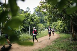 BIB: 
                            <button type="button" onclick="openModal(26823074)" class="btn btn-primary btn-sm float-right btn-popup" data-toggle="modal" data-target=".modal-high-quality">
                        <i class="fas fa-shopping-cart"></i> Add to Cart
                    </button>
                                            <button type="button" onclick="isThisMe(26823074, true)" class="btn btn-success btn-sm float-right btn-popup btn-isme hidden" data-toggle="tooltip" data-placement="bottom" title="นี่คือรูปของคุณใช่ไหม คลิกที่นี่เพื่อเอาเข้าอัลบั้ม">
                        <i class="fas fa-plus"></i> Add to album
                    </button>
                    <button type="button" onclick="isThisMe(26823074, false)" class="btn btn-warning btn-sm float-right btn-popup btn-isnotme hidden">
                        <i class="fas fa-ban"></i> Remove from album
                    </button>