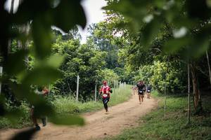 BIB: 
                            <button type="button" onclick="openModal(26825799)" class="btn btn-primary btn-sm float-right btn-popup" data-toggle="modal" data-target=".modal-high-quality">
                        <i class="fas fa-shopping-cart"></i> Add to Cart
                    </button>
                                            <button type="button" onclick="isThisMe(26825799, true)" class="btn btn-success btn-sm float-right btn-popup btn-isme hidden" data-toggle="tooltip" data-placement="bottom" title="นี่คือรูปของคุณใช่ไหม คลิกที่นี่เพื่อเอาเข้าอัลบั้ม">
                        <i class="fas fa-plus"></i> Add to album
                    </button>
                    <button type="button" onclick="isThisMe(26825799, false)" class="btn btn-warning btn-sm float-right btn-popup btn-isnotme hidden">
                        <i class="fas fa-ban"></i> Remove from album
                    </button>