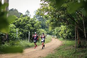 BIB: 
                            <button type="button" onclick="openModal(26822274)" class="btn btn-primary btn-sm float-right btn-popup" data-toggle="modal" data-target=".modal-high-quality">
                        <i class="fas fa-shopping-cart"></i> Add to Cart
                    </button>
                                            <button type="button" onclick="isThisMe(26822274, true)" class="btn btn-success btn-sm float-right btn-popup btn-isme hidden" data-toggle="tooltip" data-placement="bottom" title="นี่คือรูปของคุณใช่ไหม คลิกที่นี่เพื่อเอาเข้าอัลบั้ม">
                        <i class="fas fa-plus"></i> Add to album
                    </button>
                    <button type="button" onclick="isThisMe(26822274, false)" class="btn btn-warning btn-sm float-right btn-popup btn-isnotme hidden">
                        <i class="fas fa-ban"></i> Remove from album
                    </button>