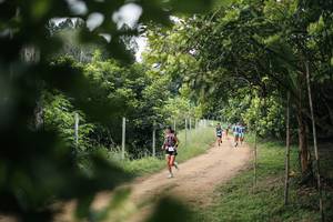 BIB: 
                            <button type="button" onclick="openModal(26830292)" class="btn btn-primary btn-sm float-right btn-popup" data-toggle="modal" data-target=".modal-high-quality">
                        <i class="fas fa-shopping-cart"></i> Add to Cart
                    </button>
                                            <button type="button" onclick="isThisMe(26830292, true)" class="btn btn-success btn-sm float-right btn-popup btn-isme hidden" data-toggle="tooltip" data-placement="bottom" title="นี่คือรูปของคุณใช่ไหม คลิกที่นี่เพื่อเอาเข้าอัลบั้ม">
                        <i class="fas fa-plus"></i> Add to album
                    </button>
                    <button type="button" onclick="isThisMe(26830292, false)" class="btn btn-warning btn-sm float-right btn-popup btn-isnotme hidden">
                        <i class="fas fa-ban"></i> Remove from album
                    </button>