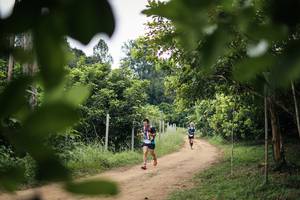 BIB: 
                            <button type="button" onclick="openModal(26824533)" class="btn btn-primary btn-sm float-right btn-popup" data-toggle="modal" data-target=".modal-high-quality">
                        <i class="fas fa-shopping-cart"></i> Add to Cart
                    </button>
                                            <button type="button" onclick="isThisMe(26824533, true)" class="btn btn-success btn-sm float-right btn-popup btn-isme hidden" data-toggle="tooltip" data-placement="bottom" title="นี่คือรูปของคุณใช่ไหม คลิกที่นี่เพื่อเอาเข้าอัลบั้ม">
                        <i class="fas fa-plus"></i> Add to album
                    </button>
                    <button type="button" onclick="isThisMe(26824533, false)" class="btn btn-warning btn-sm float-right btn-popup btn-isnotme hidden">
                        <i class="fas fa-ban"></i> Remove from album
                    </button>