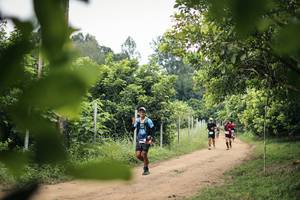 BIB: 
                            <button type="button" onclick="openModal(26822194)" class="btn btn-primary btn-sm float-right btn-popup" data-toggle="modal" data-target=".modal-high-quality">
                        <i class="fas fa-shopping-cart"></i> Add to Cart
                    </button>
                                            <button type="button" onclick="isThisMe(26822194, true)" class="btn btn-success btn-sm float-right btn-popup btn-isme hidden" data-toggle="tooltip" data-placement="bottom" title="นี่คือรูปของคุณใช่ไหม คลิกที่นี่เพื่อเอาเข้าอัลบั้ม">
                        <i class="fas fa-plus"></i> Add to album
                    </button>
                    <button type="button" onclick="isThisMe(26822194, false)" class="btn btn-warning btn-sm float-right btn-popup btn-isnotme hidden">
                        <i class="fas fa-ban"></i> Remove from album
                    </button>