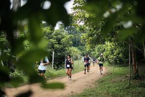 BIB: 
                            <button type="button" onclick="openModal(26822489)" class="btn btn-primary btn-sm float-right btn-popup" data-toggle="modal" data-target=".modal-high-quality">
                        <i class="fas fa-shopping-cart"></i> Add to Cart
                    </button>
                                            <button type="button" onclick="isThisMe(26822489, true)" class="btn btn-success btn-sm float-right btn-popup btn-isme hidden" data-toggle="tooltip" data-placement="bottom" title="นี่คือรูปของคุณใช่ไหม คลิกที่นี่เพื่อเอาเข้าอัลบั้ม">
                        <i class="fas fa-plus"></i> Add to album
                    </button>
                    <button type="button" onclick="isThisMe(26822489, false)" class="btn btn-warning btn-sm float-right btn-popup btn-isnotme hidden">
                        <i class="fas fa-ban"></i> Remove from album
                    </button>