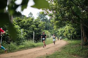 BIB: 
                            <button type="button" onclick="openModal(26826830)" class="btn btn-primary btn-sm float-right btn-popup" data-toggle="modal" data-target=".modal-high-quality">
                        <i class="fas fa-shopping-cart"></i> Add to Cart
                    </button>
                                            <button type="button" onclick="isThisMe(26826830, true)" class="btn btn-success btn-sm float-right btn-popup btn-isme hidden" data-toggle="tooltip" data-placement="bottom" title="นี่คือรูปของคุณใช่ไหม คลิกที่นี่เพื่อเอาเข้าอัลบั้ม">
                        <i class="fas fa-plus"></i> Add to album
                    </button>
                    <button type="button" onclick="isThisMe(26826830, false)" class="btn btn-warning btn-sm float-right btn-popup btn-isnotme hidden">
                        <i class="fas fa-ban"></i> Remove from album
                    </button>