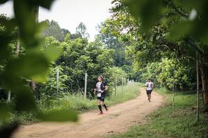 BIB: 
                            <button type="button" onclick="openModal(26822157)" class="btn btn-primary btn-sm float-right btn-popup" data-toggle="modal" data-target=".modal-high-quality">
                        <i class="fas fa-shopping-cart"></i> Add to Cart
                    </button>
                                            <button type="button" onclick="isThisMe(26822157, true)" class="btn btn-success btn-sm float-right btn-popup btn-isme hidden" data-toggle="tooltip" data-placement="bottom" title="นี่คือรูปของคุณใช่ไหม คลิกที่นี่เพื่อเอาเข้าอัลบั้ม">
                        <i class="fas fa-plus"></i> Add to album
                    </button>
                    <button type="button" onclick="isThisMe(26822157, false)" class="btn btn-warning btn-sm float-right btn-popup btn-isnotme hidden">
                        <i class="fas fa-ban"></i> Remove from album
                    </button>