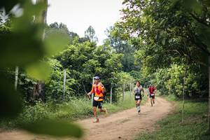 BIB: 
                            <button type="button" onclick="openModal(26827352)" class="btn btn-primary btn-sm float-right btn-popup" data-toggle="modal" data-target=".modal-high-quality">
                        <i class="fas fa-shopping-cart"></i> Add to Cart
                    </button>
                                            <button type="button" onclick="isThisMe(26827352, true)" class="btn btn-success btn-sm float-right btn-popup btn-isme hidden" data-toggle="tooltip" data-placement="bottom" title="นี่คือรูปของคุณใช่ไหม คลิกที่นี่เพื่อเอาเข้าอัลบั้ม">
                        <i class="fas fa-plus"></i> Add to album
                    </button>
                    <button type="button" onclick="isThisMe(26827352, false)" class="btn btn-warning btn-sm float-right btn-popup btn-isnotme hidden">
                        <i class="fas fa-ban"></i> Remove from album
                    </button>